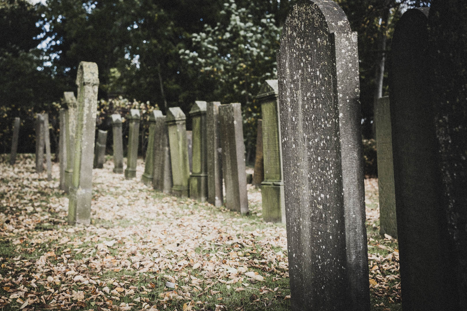 Leer (Ostfriesland), Jüdischer Friedhof